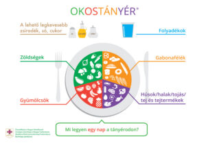 dietetikus okostányér táplálkozási útmutató várandósság Impulzív Magazin